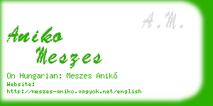 aniko meszes business card